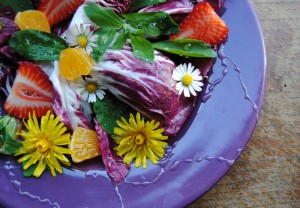 Il fiore a Tavola: menu floreali nei ristoranti di Confcommercio Como