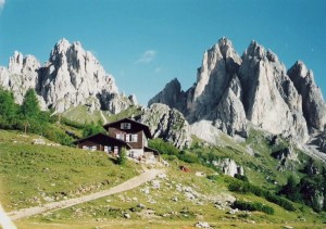 Bando rifugi 2024: criteri