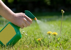 Prodotti Fitosanitari – aggiornata la disciplina