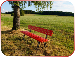 Giornata contro la Violenza sulle Donne: Confcommercio Como si unisce alla causa